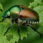 bu bocegi gorduyseniz acilen bildirin yasak basladi L1h3iKOz