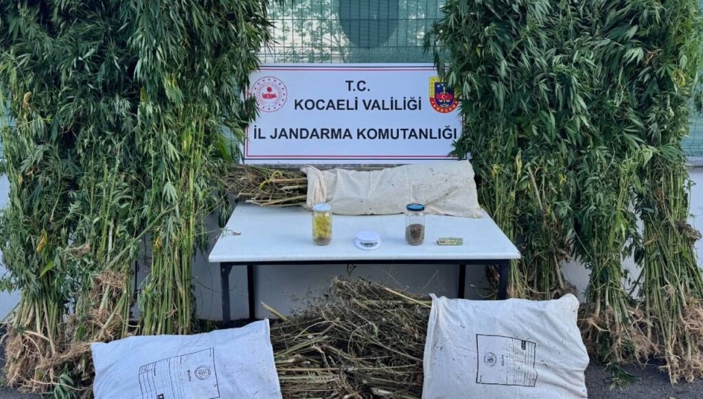 kocaelide operasyon 12 kilo 73 gram esrar ele gecirildi DV2lVCwq