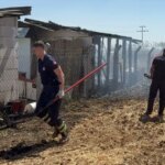 kucukdollukte yangin konteyner ev kul oldu R7ycpAiW