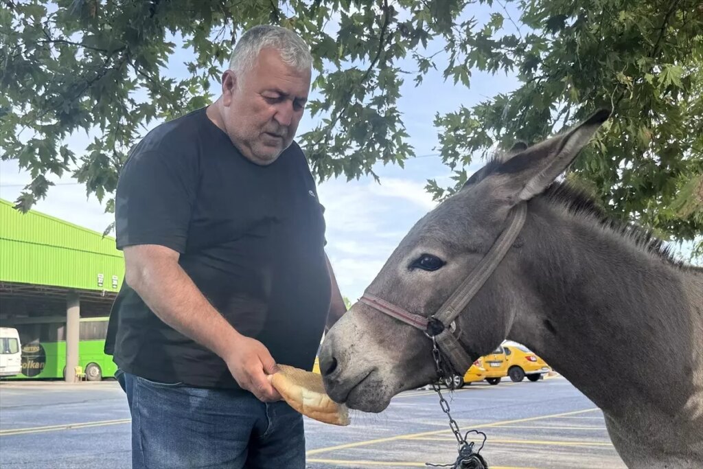 otogarin maskotu kadife ORi5rNnP