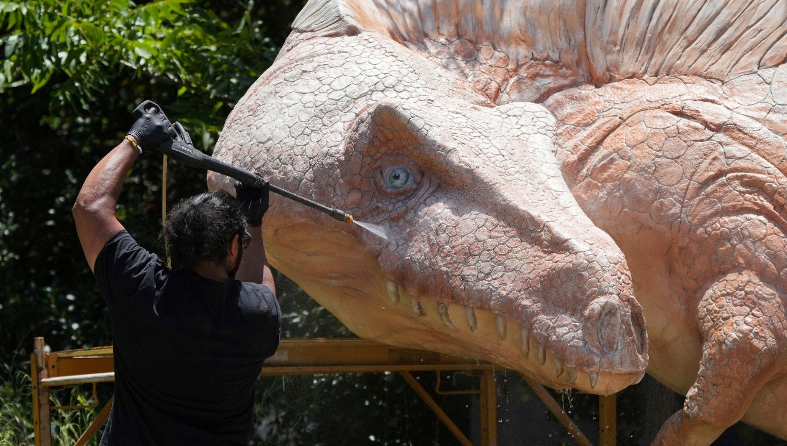 bilim insanlari yeni bir dinozor turu kesfettisonlokmasi ortaya cikti pqVVhvWq