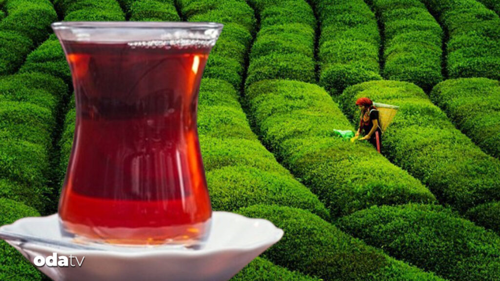 caya zam geldi uA34ZY5w