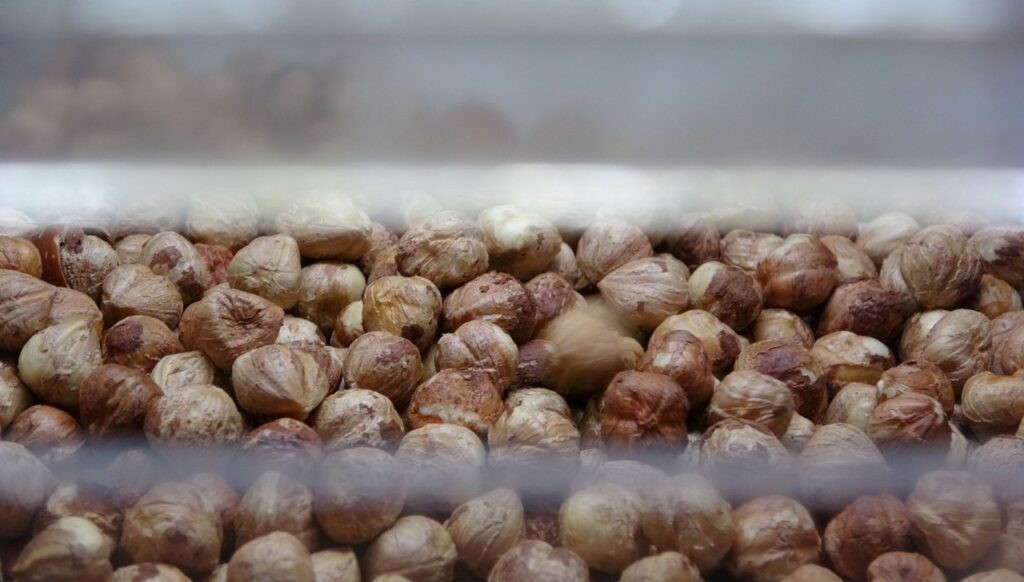 findik hasadi bitti sira kirma ve kavurma isinde GMenOMBc