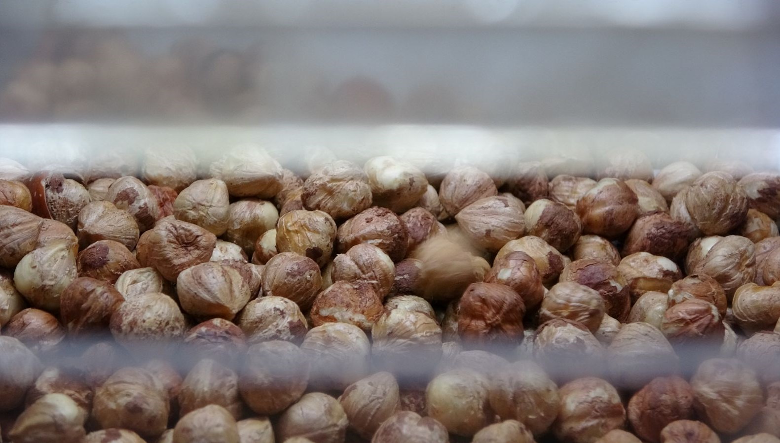 findik hasadi bitti sira kirma ve kavurma isinde GMenOMBc