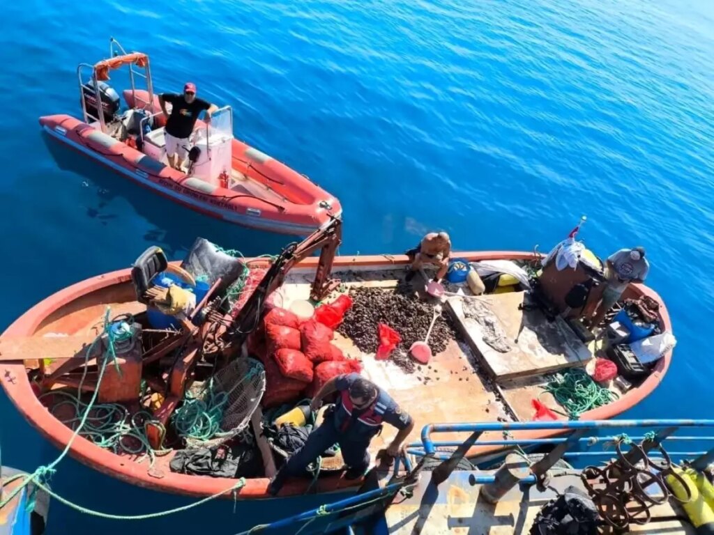 Ruhsatsız Gemiyle Avcılığa Ceza