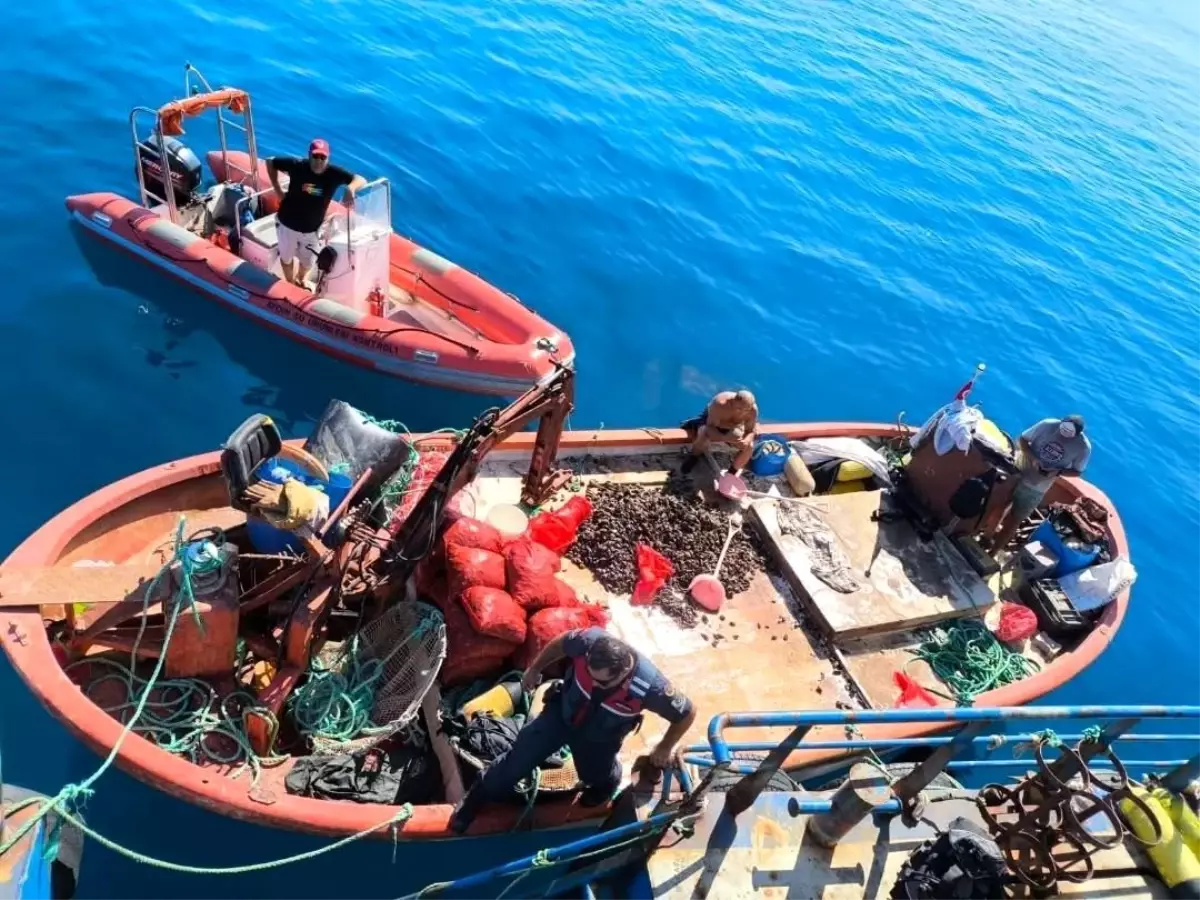 ruhsatsiz gemiyle avciliga ceza duzXjKyq