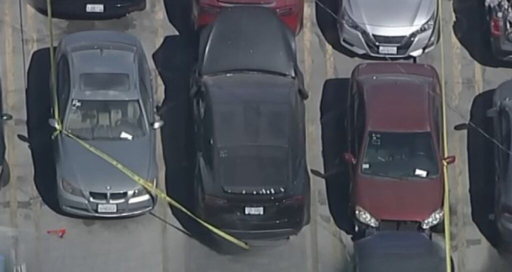 unlu sarkicinin arabasinda parcalanmis ceset bulundu qnShJNdG