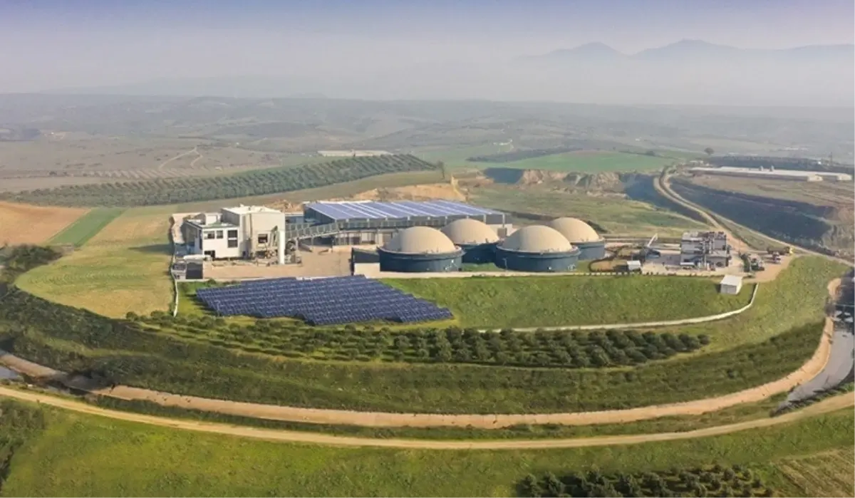 ecogreen enerji halka arz ne zaman kac lot veriyor yatirim endeksine uygun mu 175ajZe1.jpg