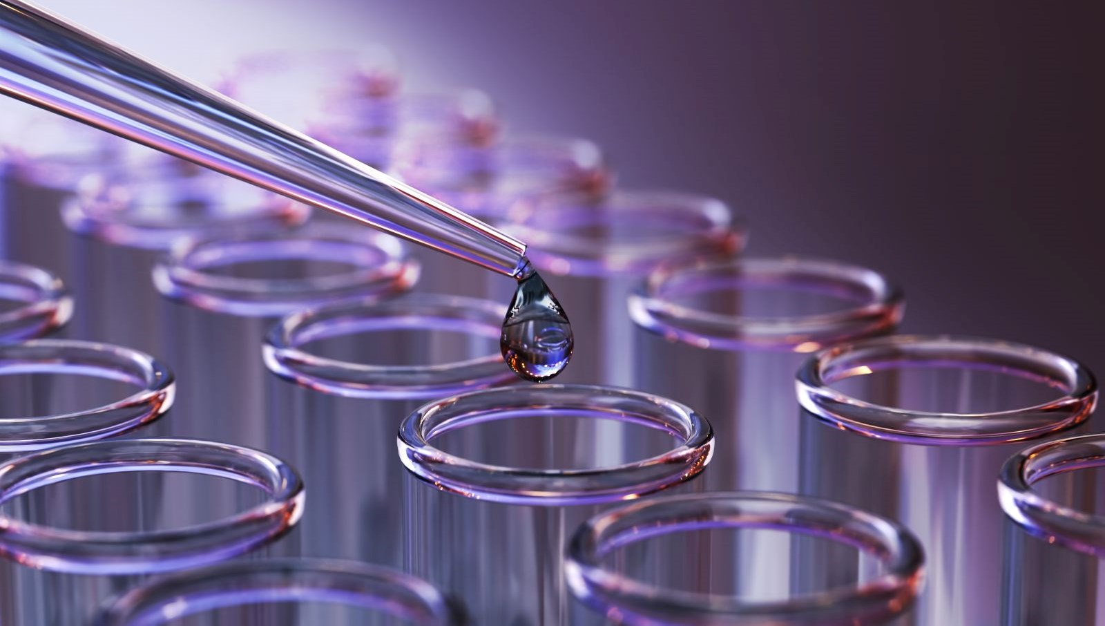 omur uzatan ilac kokteyli farelerde yasam suresi yuzde 73 artti nZ63Ewtg.jpg