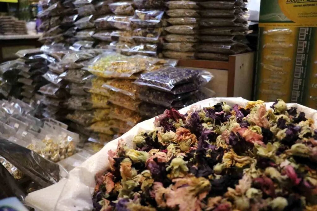 sakaryada soguk alginligina karsi aktarlara yogun ilgi XNuX1NiV