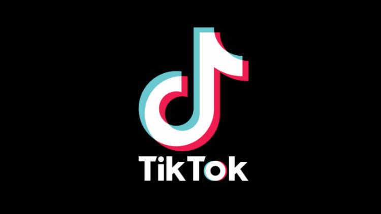 TikTok’ta 189 milyondan fazla video yayından kaldırıldı