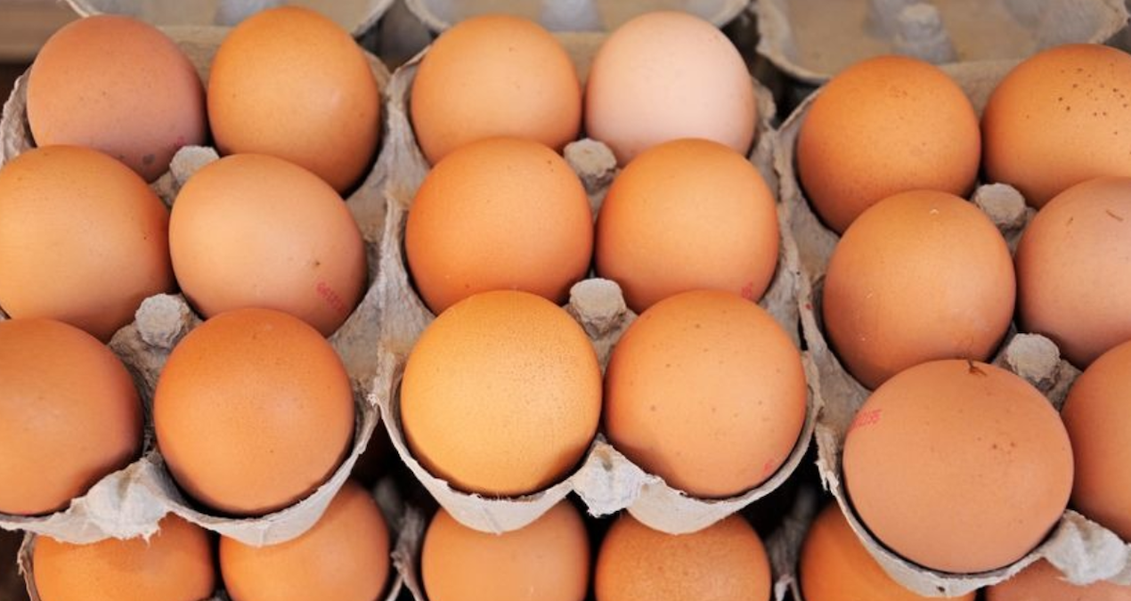 yumurta krizi kapida uretimde sert dusus UZZQWqT1.jpg