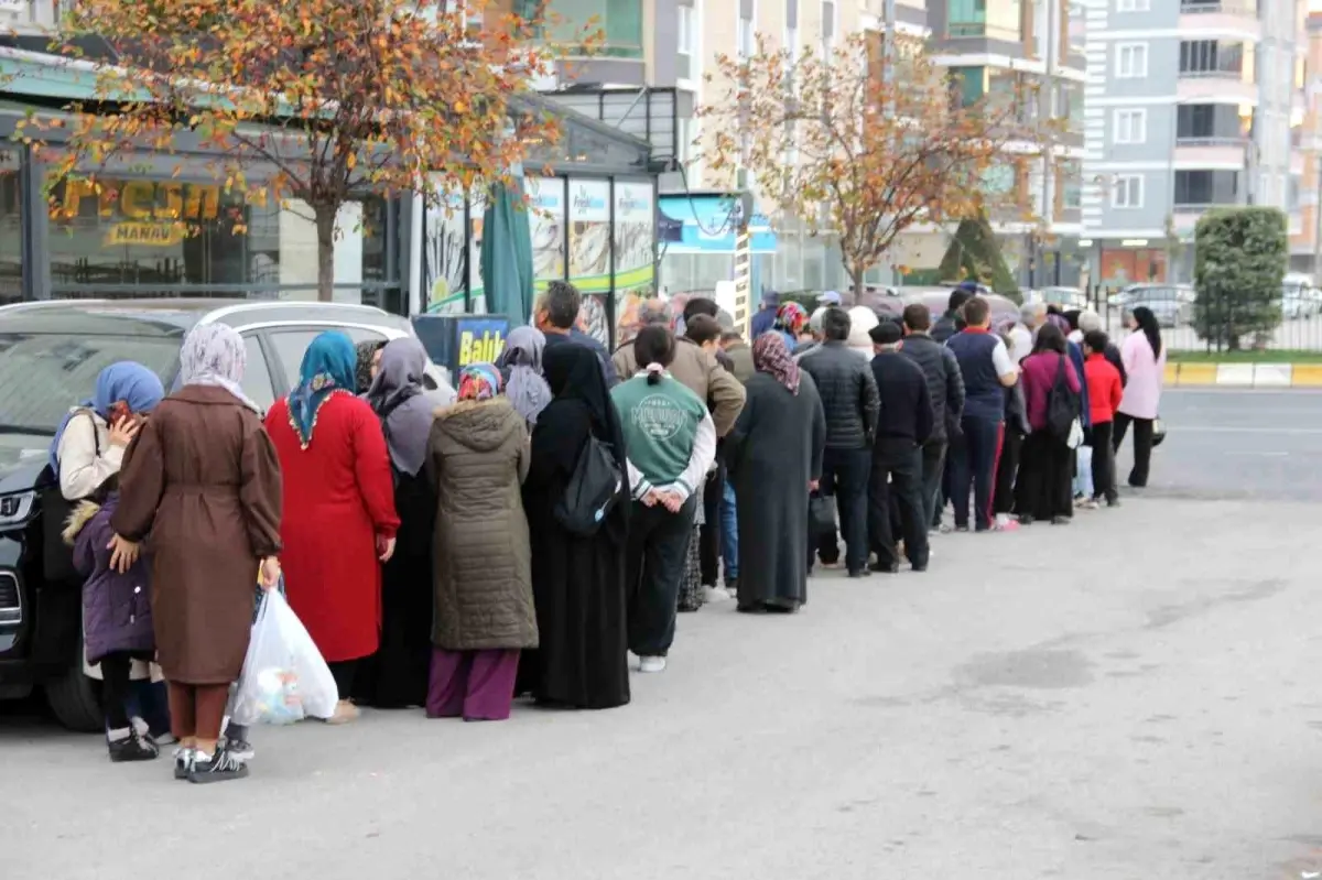 corumda hamsi kuyrugu cAIBMhSl.jpg