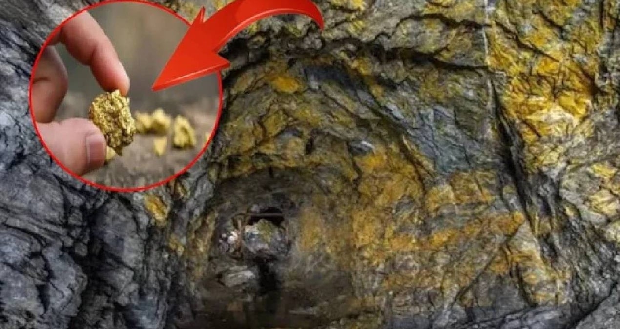 dunyanin en derin 10 altin madeni yerin altina iniyorlar kulce kulce altin cikariyorlar dcvjyith.jpg