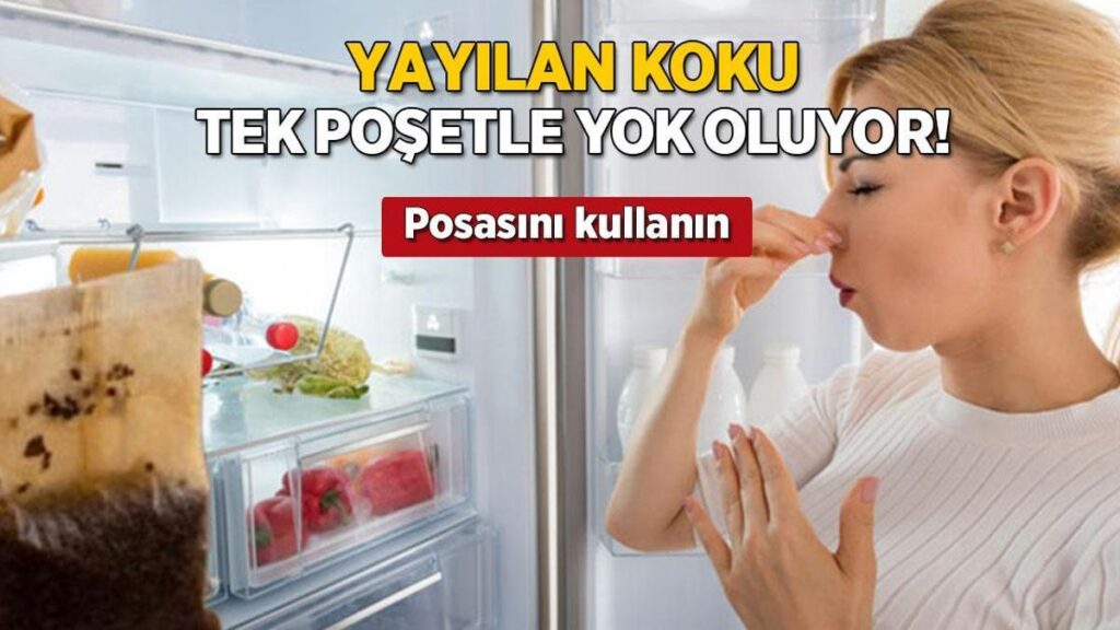 tek cay posetiyle buzdolabina reset kotu kokuya son verin PJvWQkxu.jpg