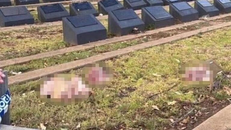 avustralyada-hacli-zihniyeti-yine-hortladi-musluman-mezarligina-domuz-basli-saldiri-t7VZHN9E.jpg