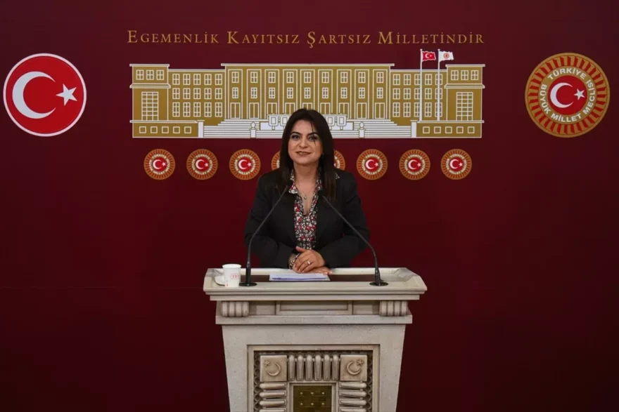 Koçyiğit’ten Acil Yasal Düzenleme Çağrısı