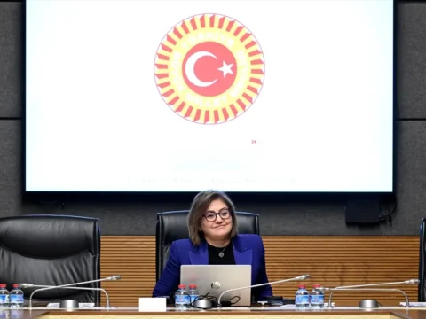 Suçla Mücadelede Çocukların Korunması Üzerine Tartışmalar