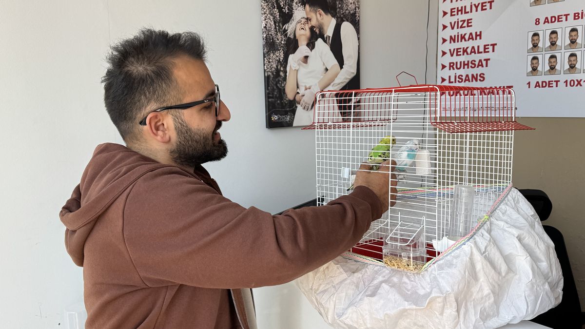 Kedilerin Kuş Avı: Atakum’da İlginç Anlar Kameraya Yansıdı