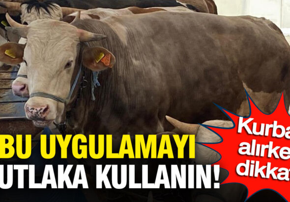 kurbanlik-alirken-dikkat-bu-uygulamayi-mutlaka-kullanin-e4Y1dxxl