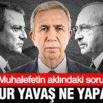 Haber gorseli